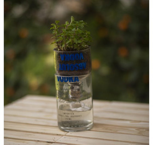 Load image into Gallery viewer, Reverse Osmosis Bottle Planter