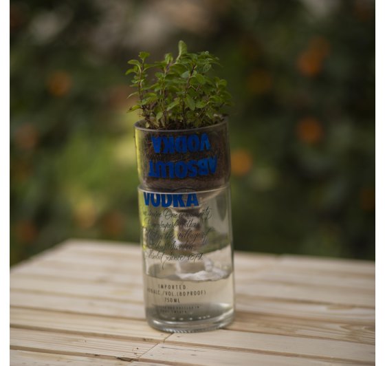 Reverse Osmosis Bottle Planter