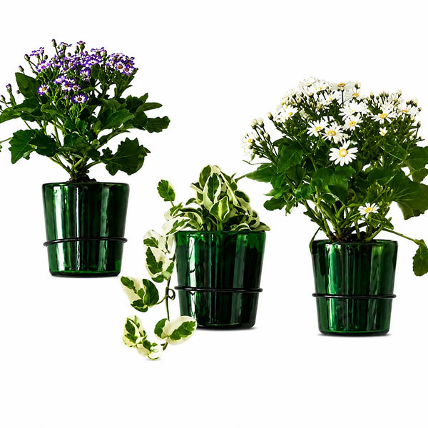 Vat69 Bottle Planters with Iron Stand – Set of 3