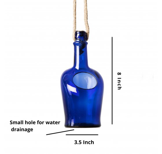 Antiquity Bottle Planter (Hanging)