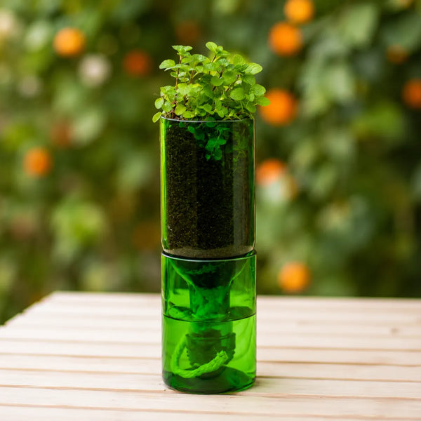 Self Watering Wine Bottle Planter – Recycled Glass Plant Pot