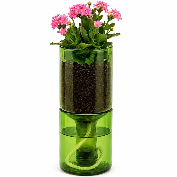 Self Watering Wine Bottle Planter – Recycled Glass Plant Pot