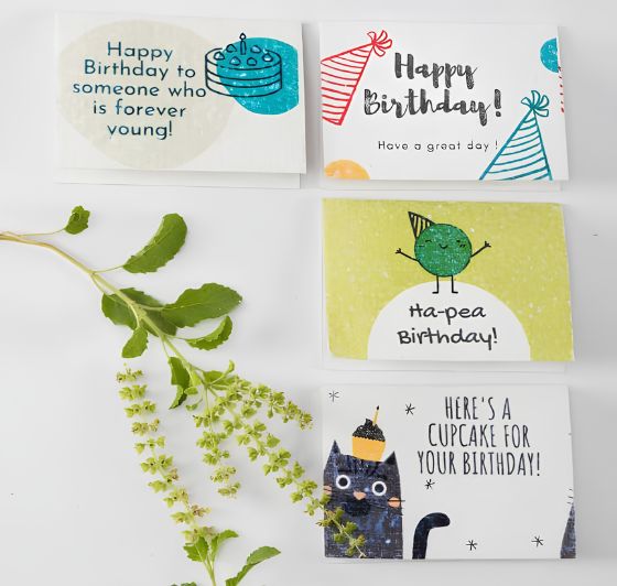 Plantable Birthday Cards β Eco Friendly Seed Paper Greeting Cards (Pack of 12 Multi Design)