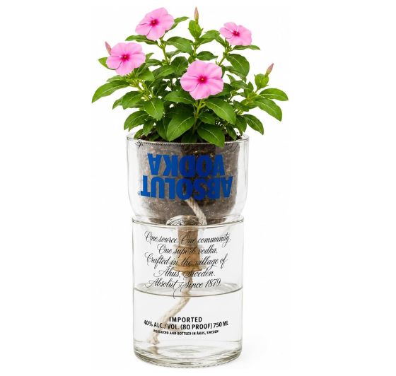 Recycled Glass Bottle Planter for Succulents & Indoor Plants