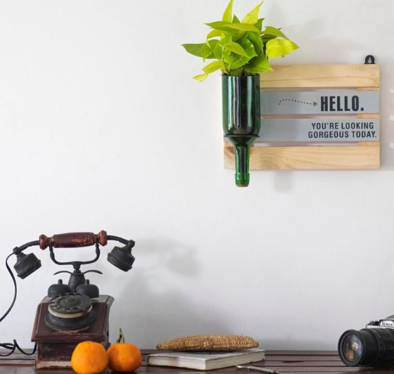 Hello Gorgeous Wine Bottle Planter with Stand