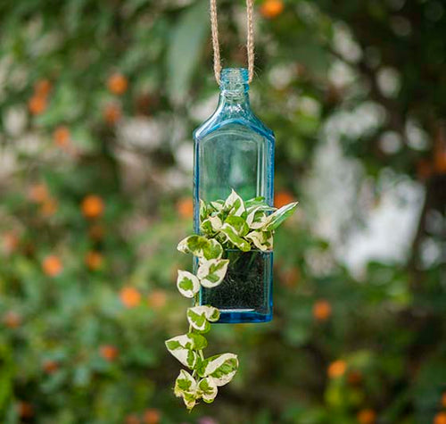 Load image into Gallery viewer, Sapphire Bottle Planter (Hanging)