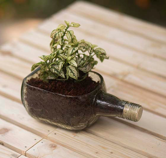 recycled glass plant pots Handmade Rum Bottle Planter