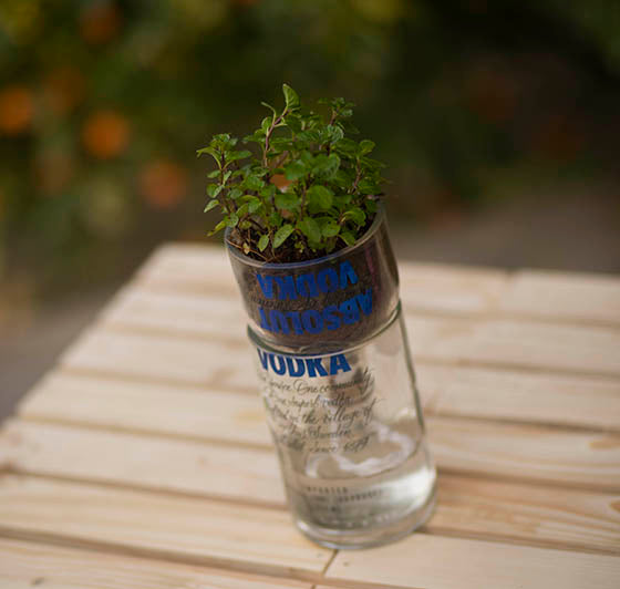 Reverse Osmosis Bottle Planter
