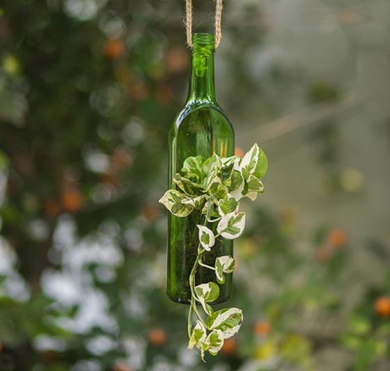 hanging wine bottle planter Jharokha Upcycled Wine Bottle Wall Planter