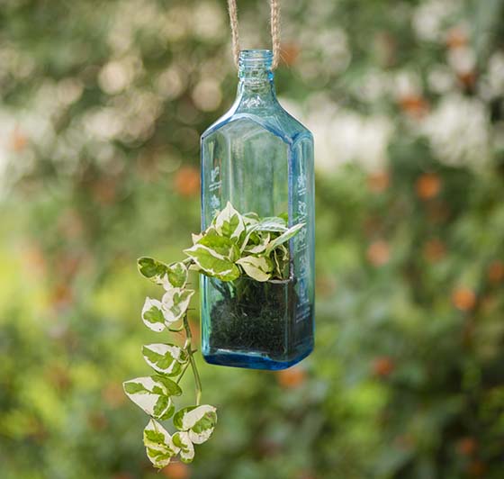 wine bottle hanging planter Upcycled Sapphire Bottle Hanging Planter