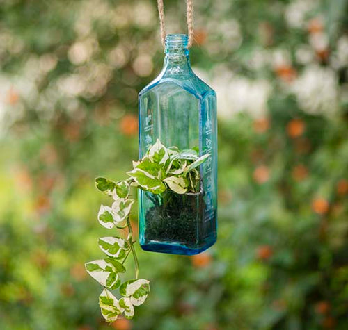 Load image into Gallery viewer, Sapphire Bottle Planter (Hanging)