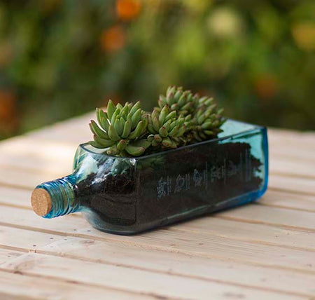 Hand Crafted Sapphire Bottle Planter Table Top