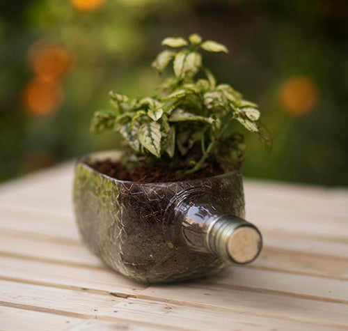 Load image into Gallery viewer, Hand Crafted Rum Bottle Planter Table Top