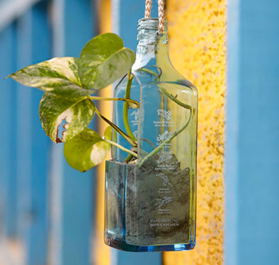 wine bottle hanging planter Upcycled Sapphire Bottle Hanging Planter