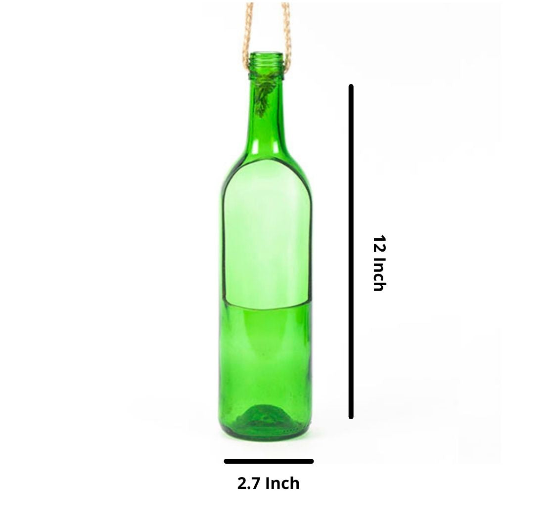 Eco-Friendly Jharokha Bottle Planter