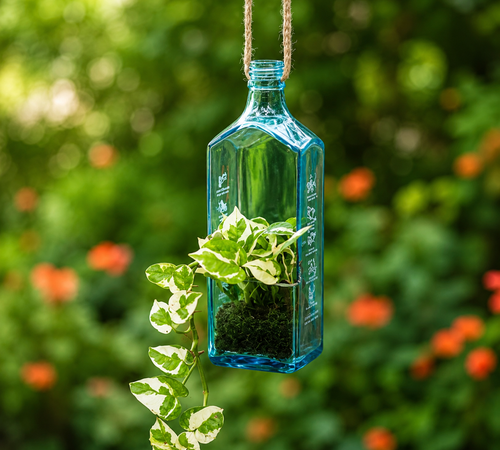 Best Upcycled Planters for Modern Homes