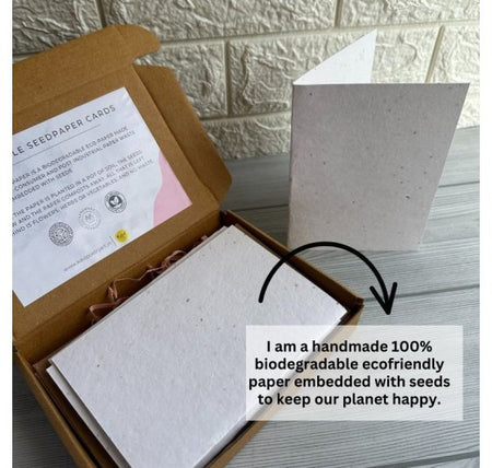 Seed Paper Set of 4 Plantable DIY Greeting Cards