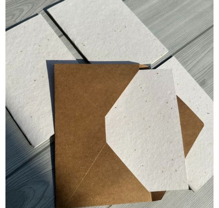 Seed Paper Set of 4 Plantable DIY Greeting Cards