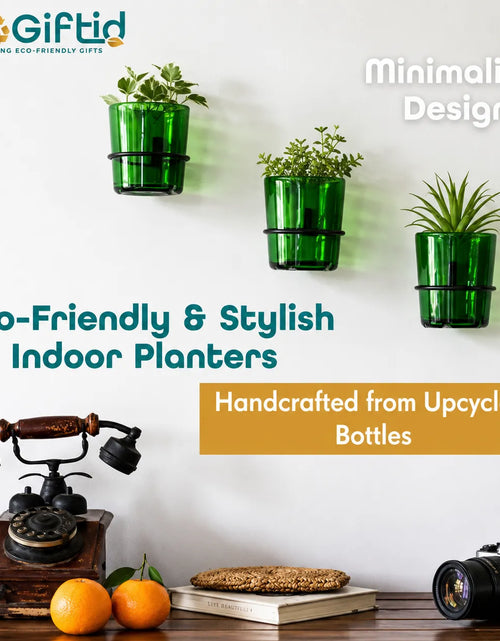 Load image into Gallery viewer, Vat69 Bottle Planters with Iron Stand – Set of 3
