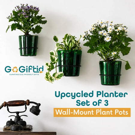 Vat69 Bottle Planters with Iron Stand – Set of 3