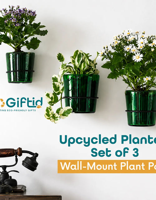 Load image into Gallery viewer, Vat69 Bottle Planters with Iron Stand – Set of 3
