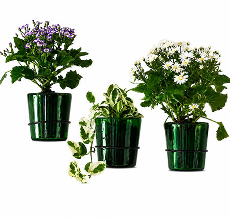 Vat69 Bottle Planters with Iron Stand – Set of 3