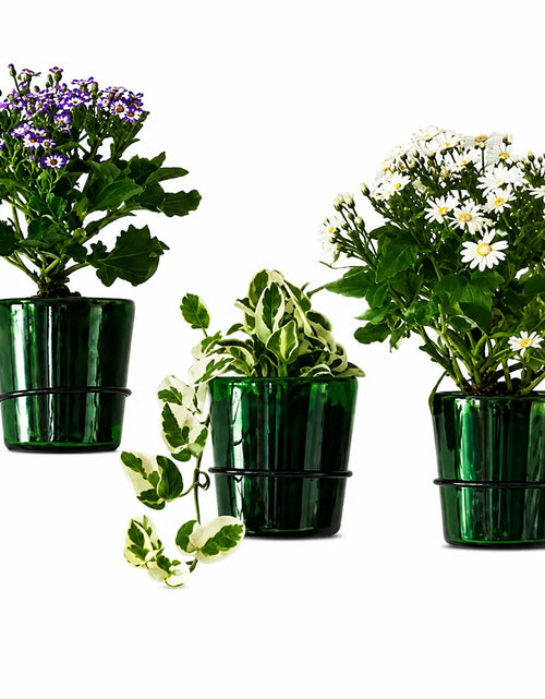 Load image into Gallery viewer, Vat69 Bottle Planters with Iron Stand – Set of 3
