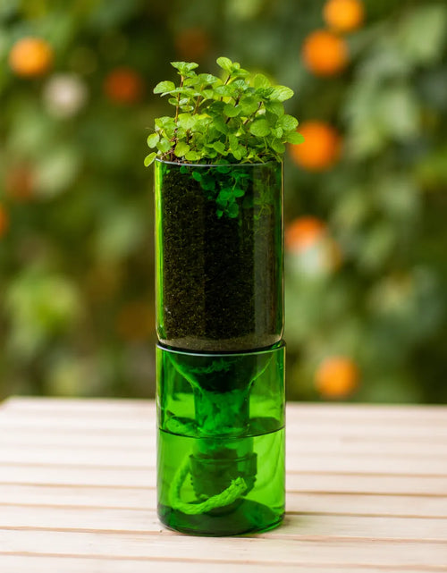 Load image into Gallery viewer, Self Watering Wine Bottle Planter – Recycled Glass Plant Pot
