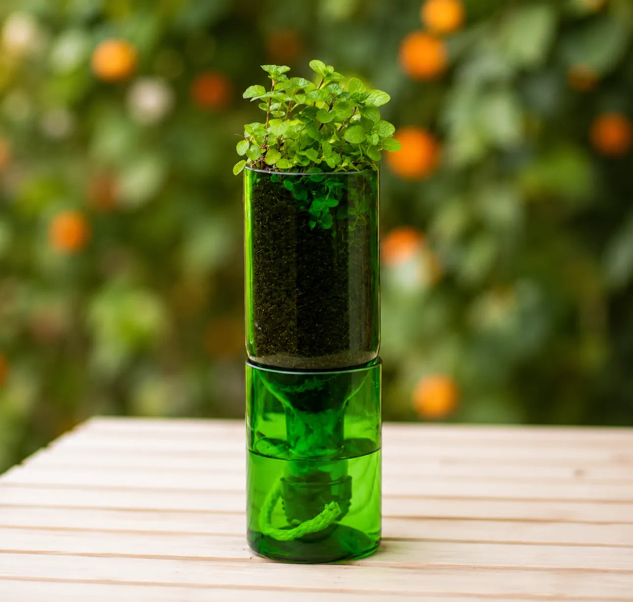 Self Watering Wine Bottle Planter – Recycled Glass Plant Pot