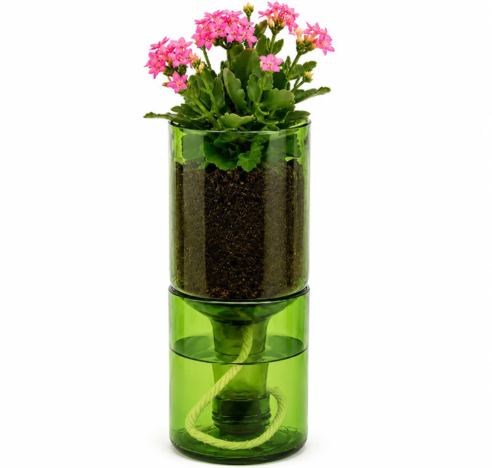 Self Watering Wine Bottle Planter – Recycled Glass Plant Pot