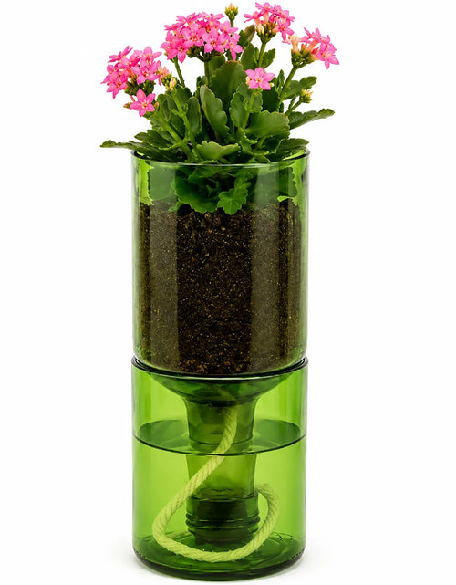 Load image into Gallery viewer, Self Watering Wine Bottle Planter – Recycled Glass Plant Pot
