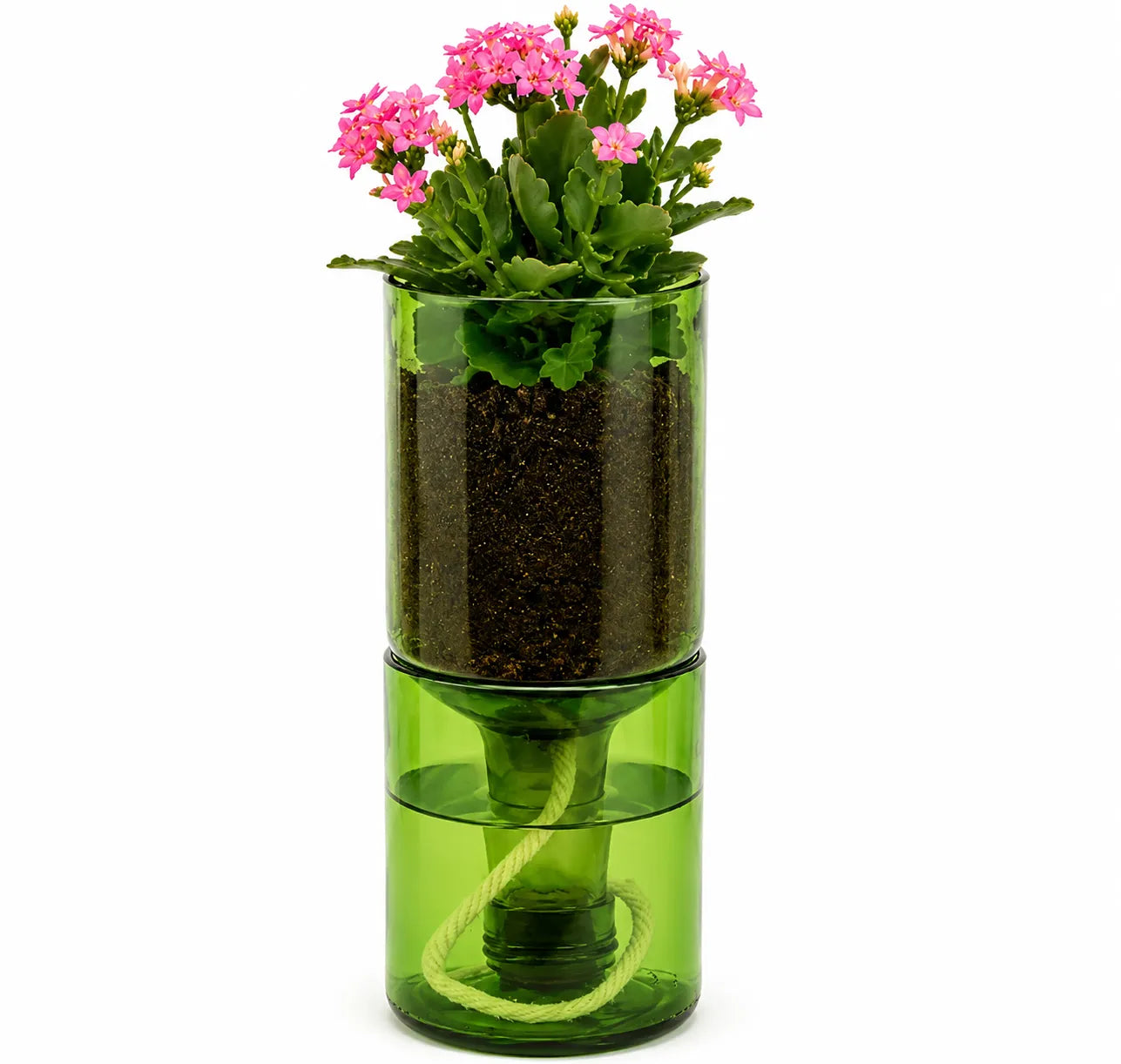 Self Watering Wine Bottle Planter – Recycled Glass Plant Pot