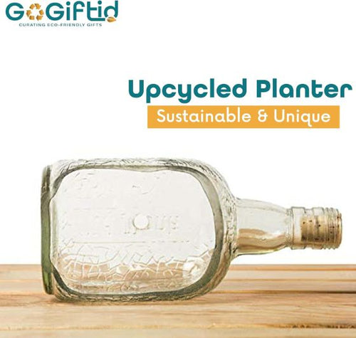 Load image into Gallery viewer, Upcycled Rum Bottle Planter – Handmade Glass Table Top Succulent Planter
