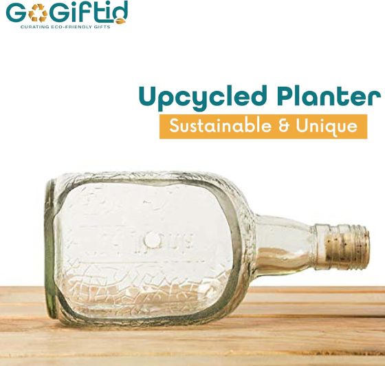 Upcycled Rum Bottle Planter – Handmade Glass Table Top Succulent Planter