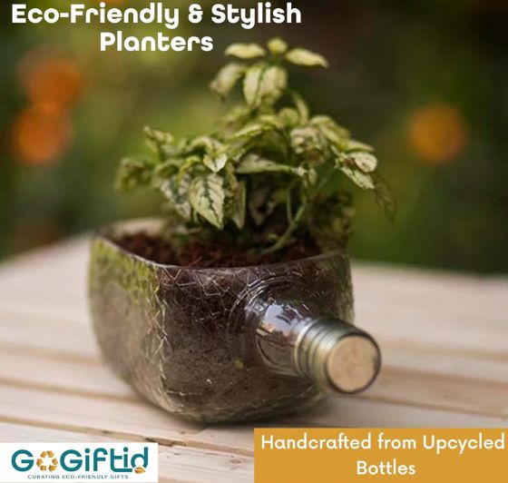 Upcycled Rum Bottle Planter – Handmade Glass Table Top Succulent Planter