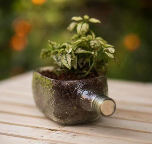Load image into Gallery viewer, Upcycled Rum Bottle Planter – Handmade Glass Table Top Succulent Planter
