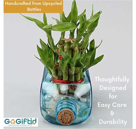 Upcycled Sapphire Bottle Planter – Handmade Sea Green Table Top Glass Planter