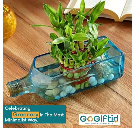 Upcycled Sapphire Bottle Planter – Handmade Sea Green Table Top Glass Planter