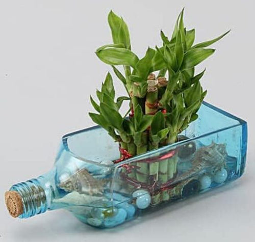 Load image into Gallery viewer, Upcycled Sapphire Bottle Planter – Handmade Sea Green Table Top Glass Planter
