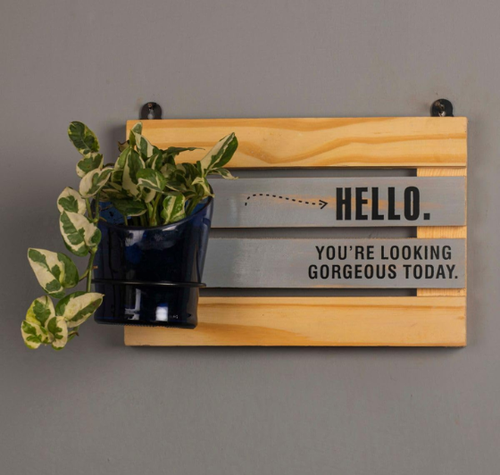 Load image into Gallery viewer, Hello Gorgeous Whisky Bottle Planter – Upcycled Wall Mounted Plant Holder
