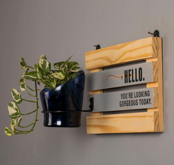 Hello Gorgeous Whisky Bottle Planter – Upcycled Wall Mounted Plant Holder