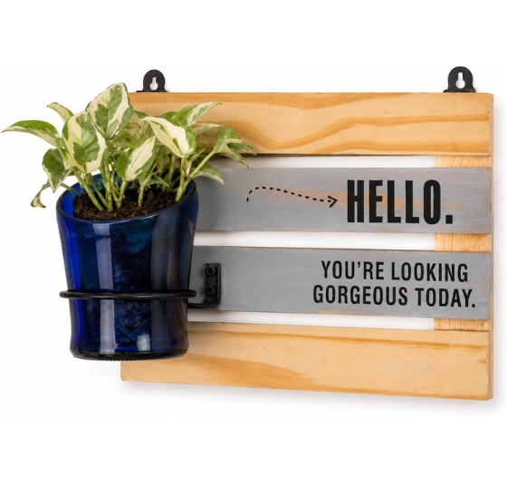 Hello Gorgeous Whisky Bottle Planter – Upcycled Wall Mounted Plant Holder