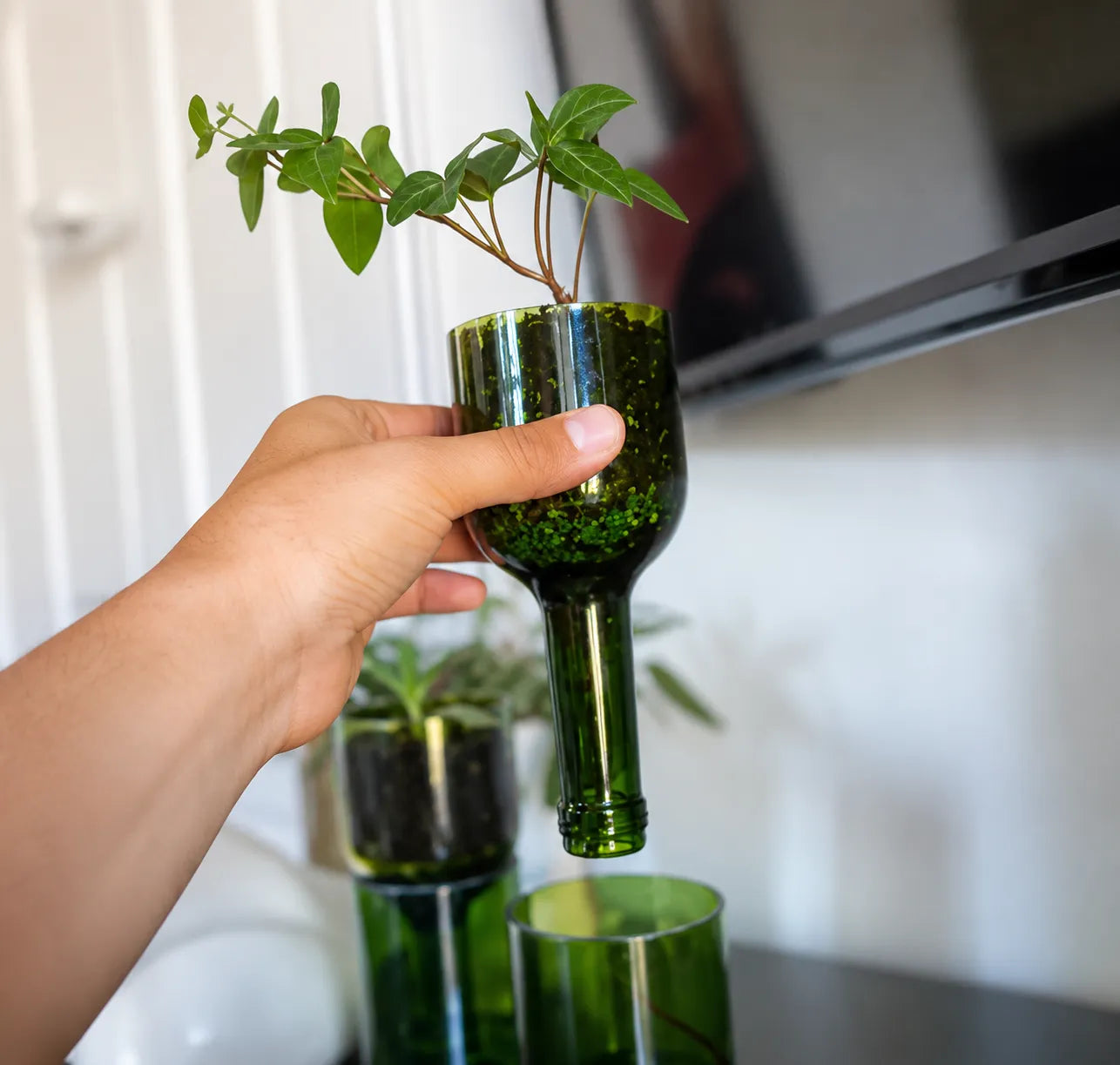 Self Watering Wine Bottle Planter – Recycled Glass Plant Pot