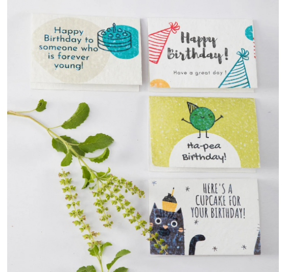 Plantable Birthday Cards (12 Multi Design)