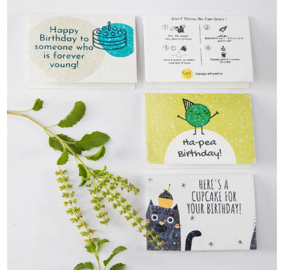 Plantable Birthday Cards (12 Multi Design)