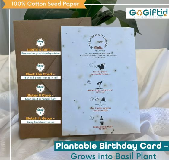 Plantable Seed Paper Birthday Card – Bee Cute Eco Friendly Greeting Card with Basil Seeds