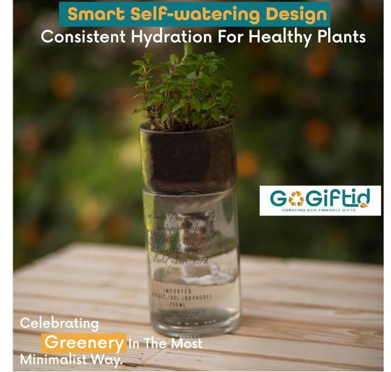 Recycled Glass Bottle Planter for Succulents & Indoor Plants