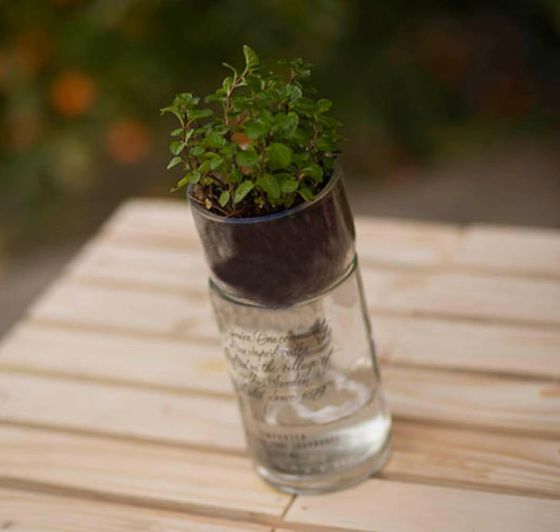 Recycled Glass Bottle Planter for Succulents & Indoor Plants