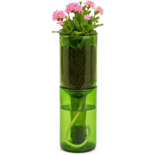Self Watering Wine Bottle Planter – Recycled Glass Plant Pot