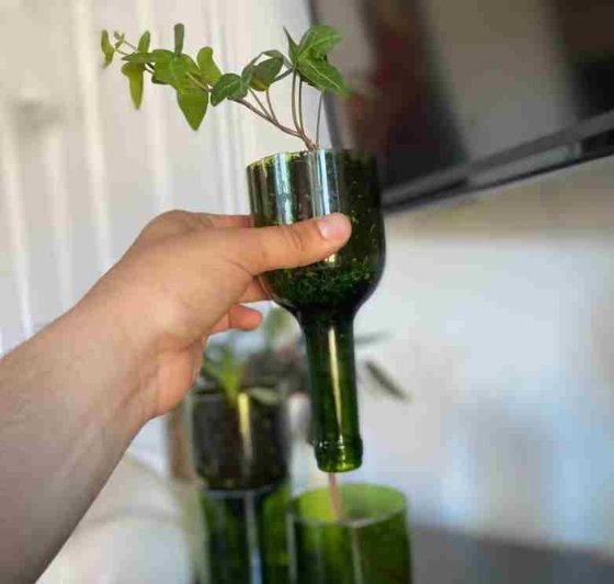 Self Watering Wine Bottle Planter – Recycled Glass Plant Pot